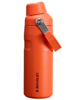 IceFlowâ„¢ Bottle with Fast Flow Lid | 16 OZ